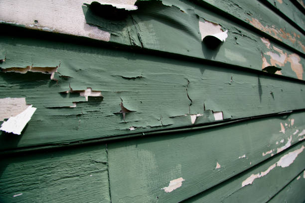 Best Construction Debris Removal  in Old Westbury, NY