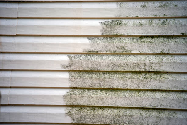 Best Mattress Disposal  in Old Westbury, NY