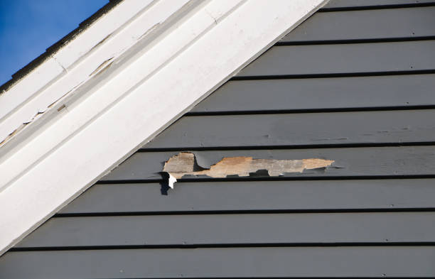 Best Demolition Debris Removal  in Old Westbury, NY